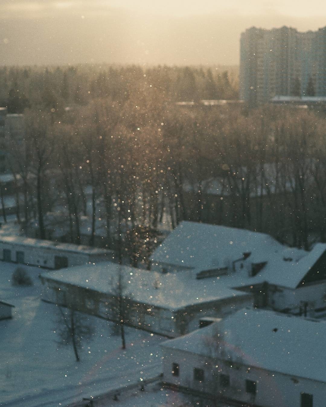 Крещение 2014. Краснознаменск.