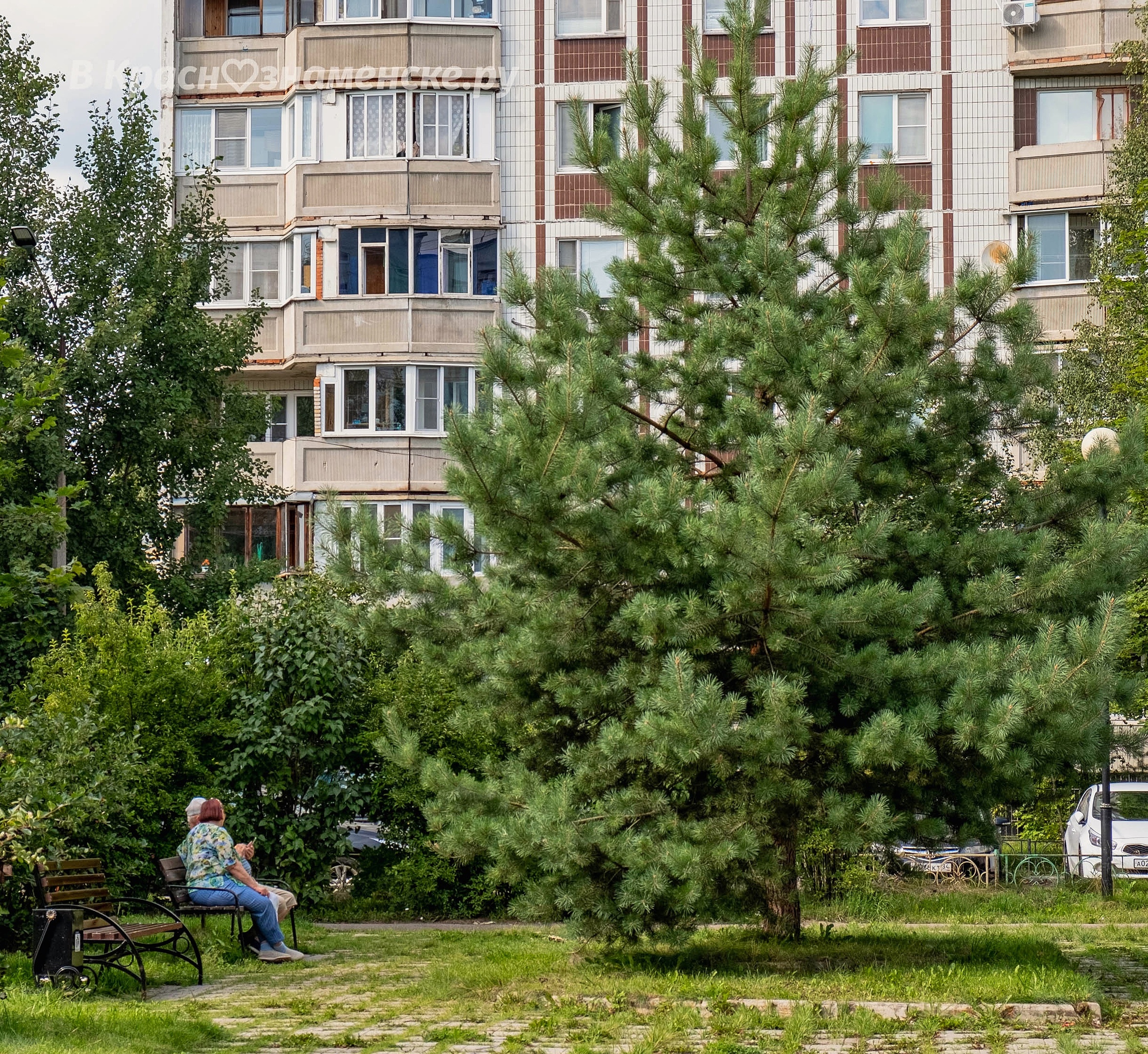 Прогулка по городу — Краснознаменск