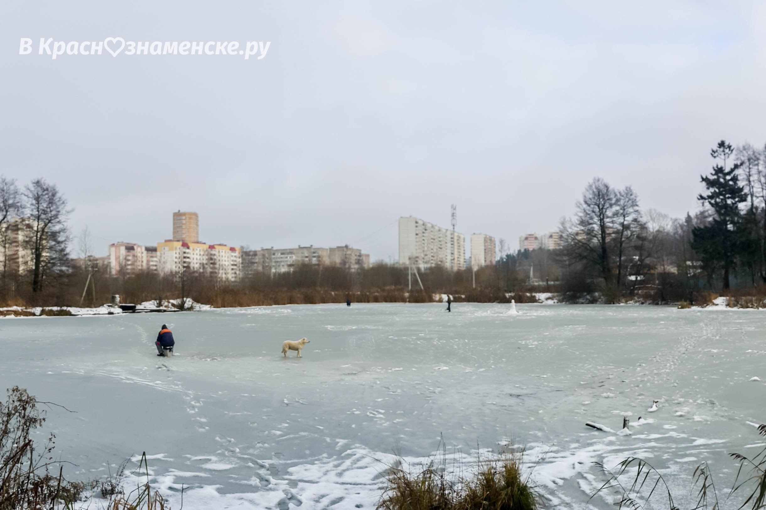 Доброе утро Краснознаменск ☃️