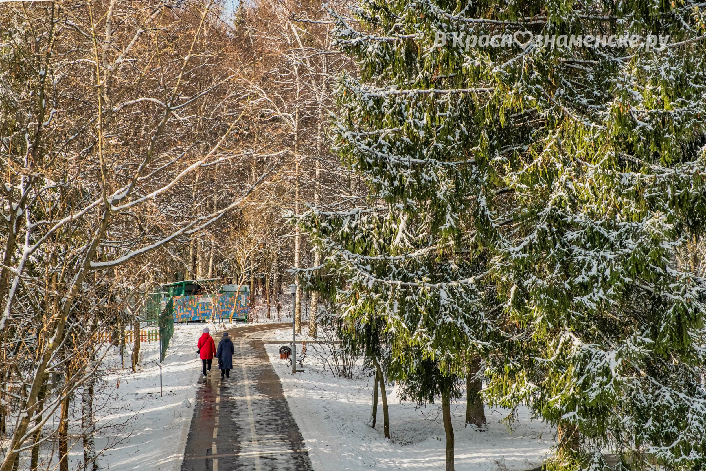 Прогулка по снежному городскому парку — Краснознаменск
