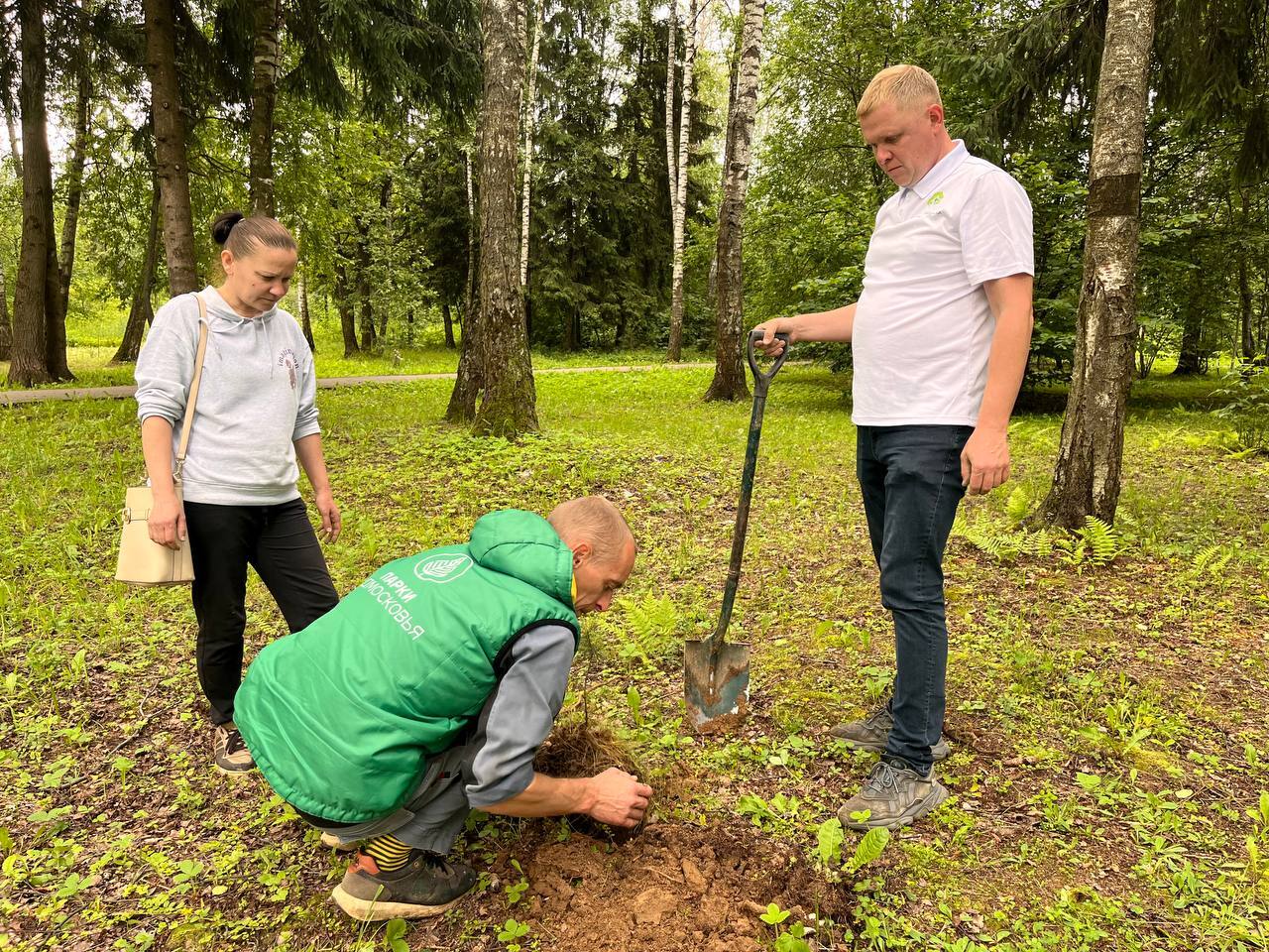 В городском парке новые зеленые друзья  Сегодня сотрудники п