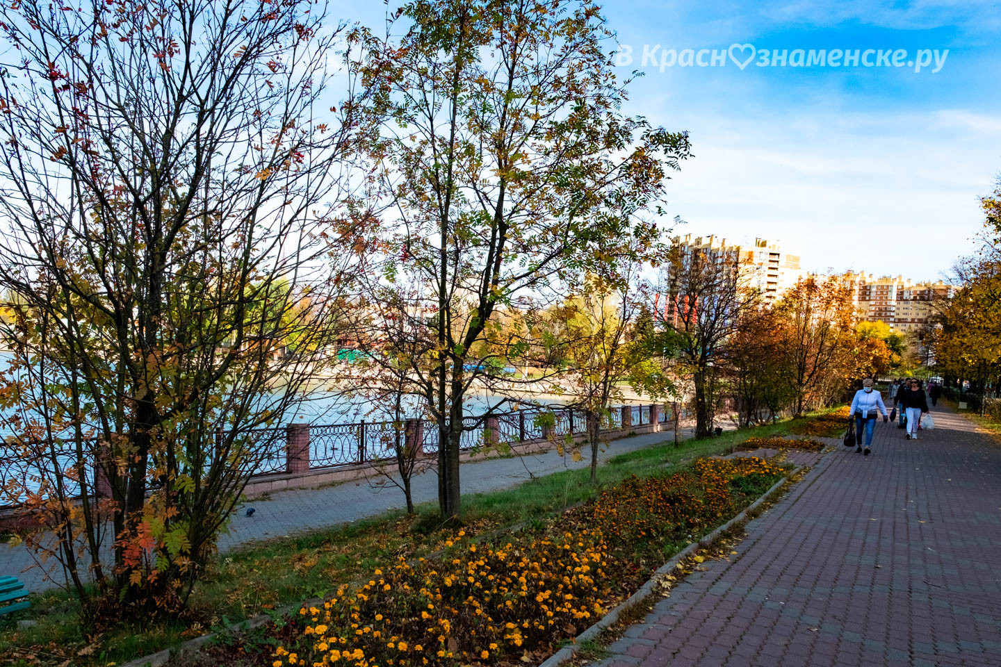 Фото 50146 — Краснознаменск