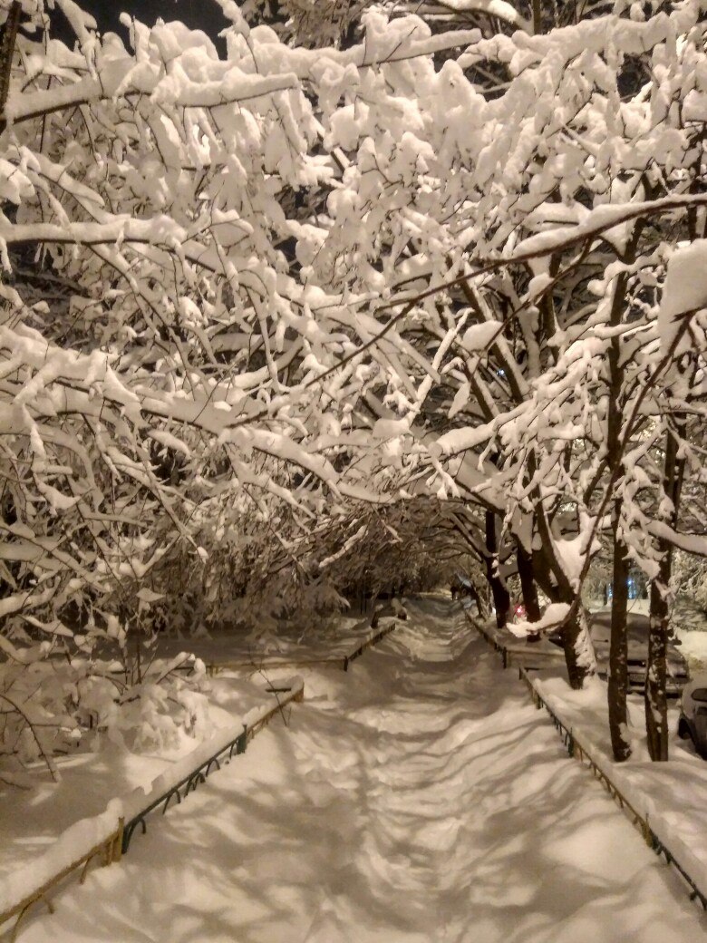 Быстрое меню — Краснознаменск
