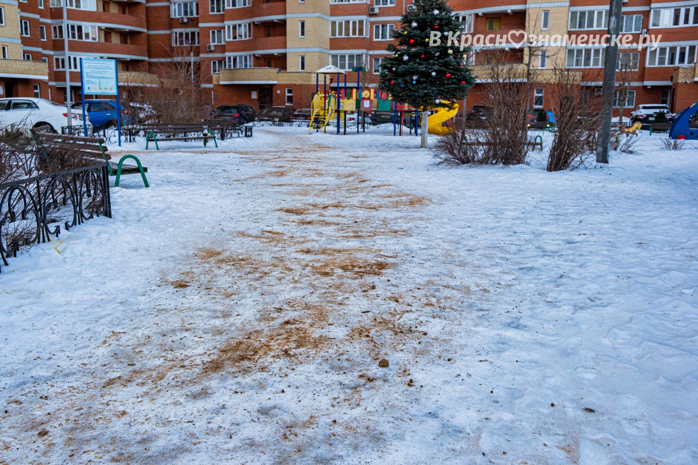 Источник: чат Краснознаменска t.me/vkrasnoznamenske_ru  Всем