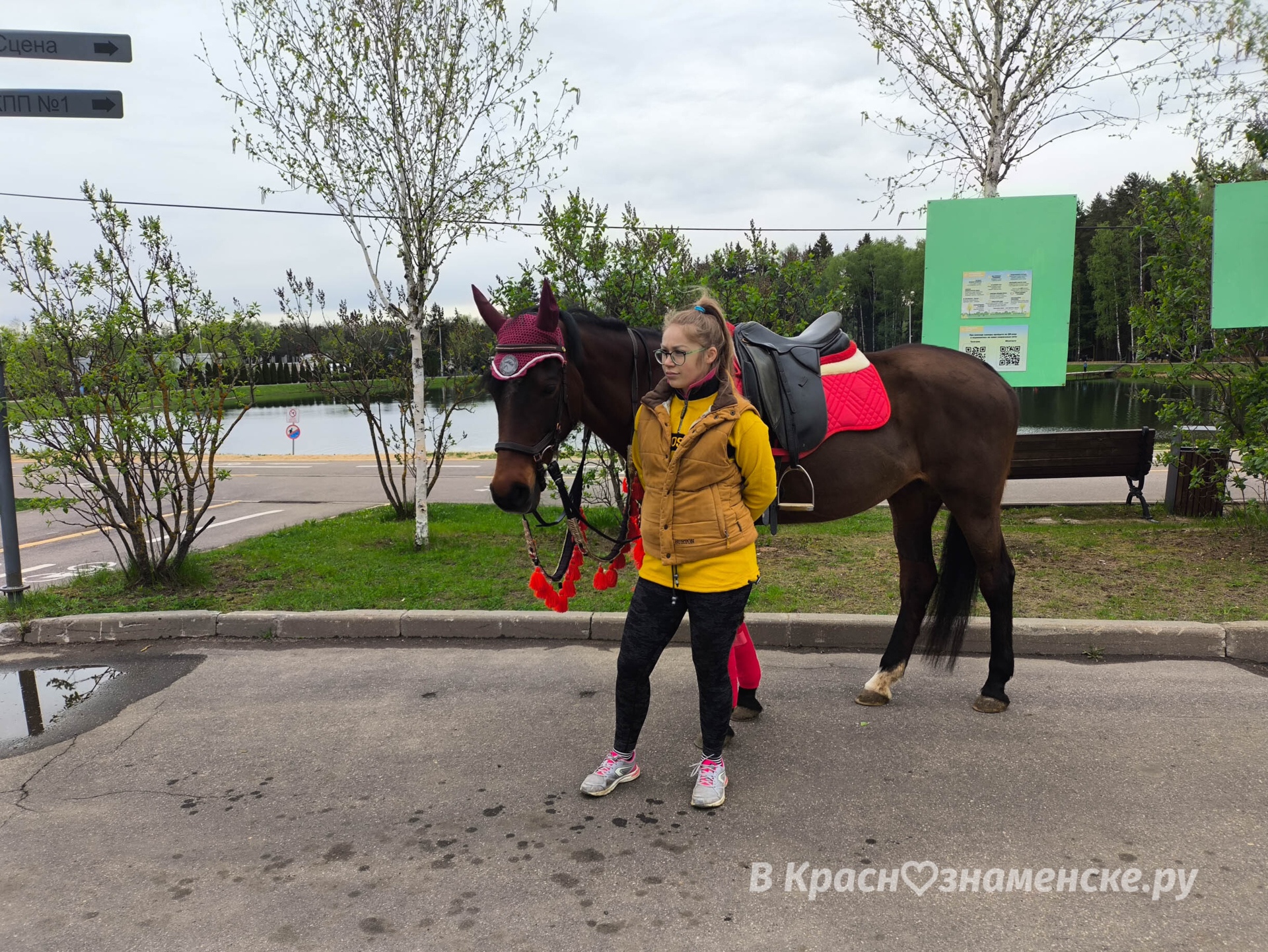В Городском парке тоже на лошадях катают  *Краснознаменск в