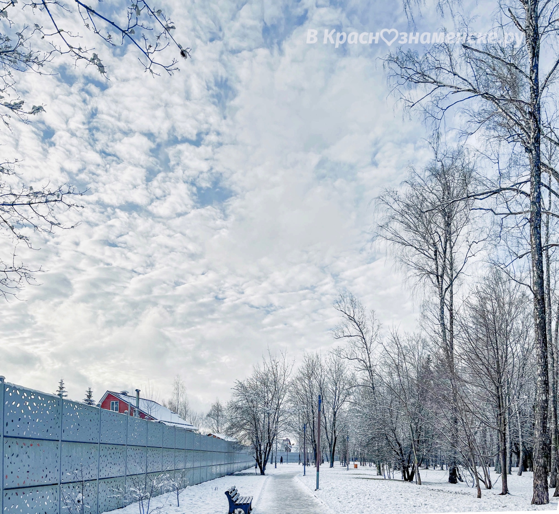 Воскресная прогулка по Беличьему парку