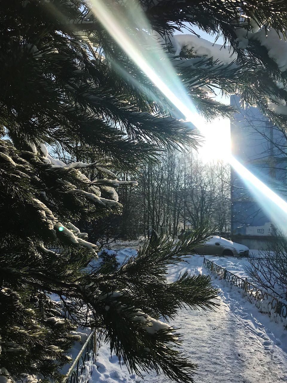 Красота — Краснознаменск