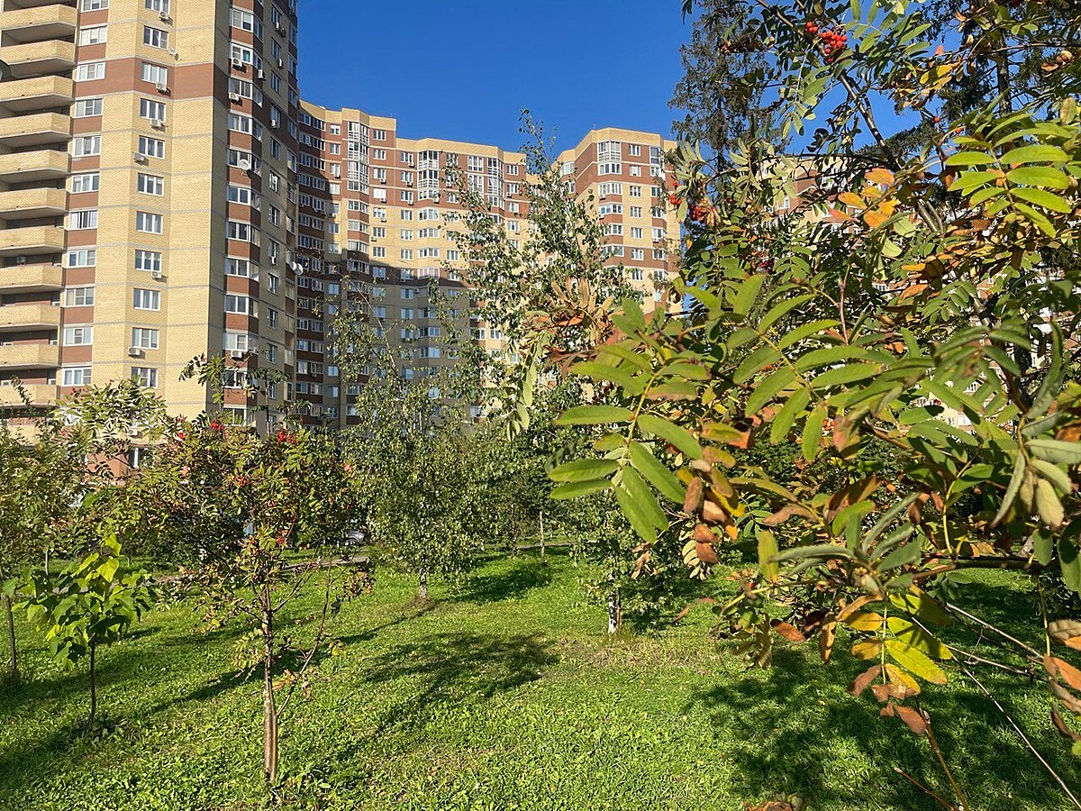 Осенняя прогулка по городу