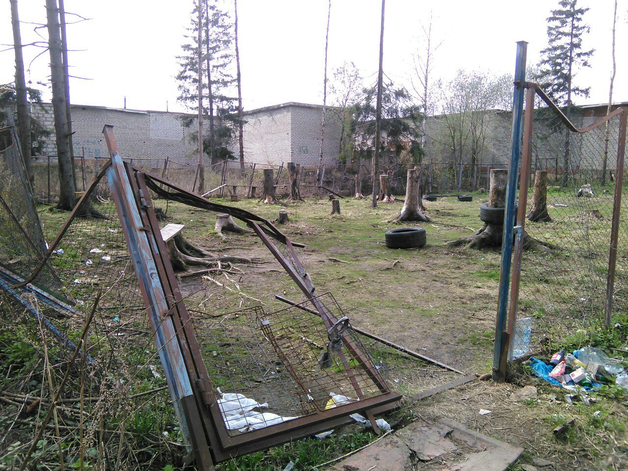 Дорогие собачники и активные жители города, есть ли те, кто