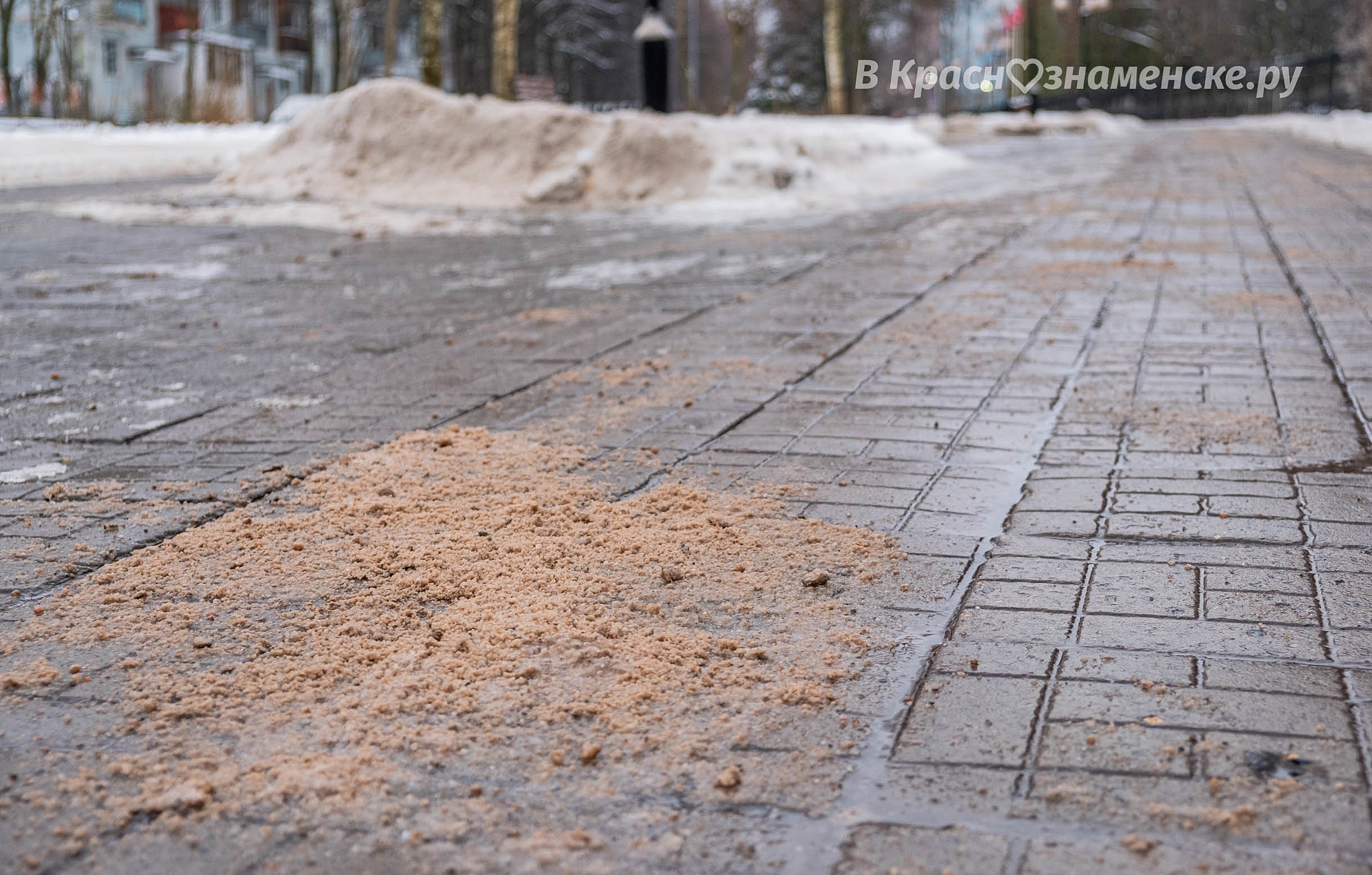 Довольны ли вы тем, как на сегодняшний день в городе борются
