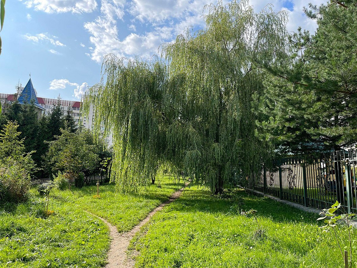 Прогулка по улицам города — Краснознаменск