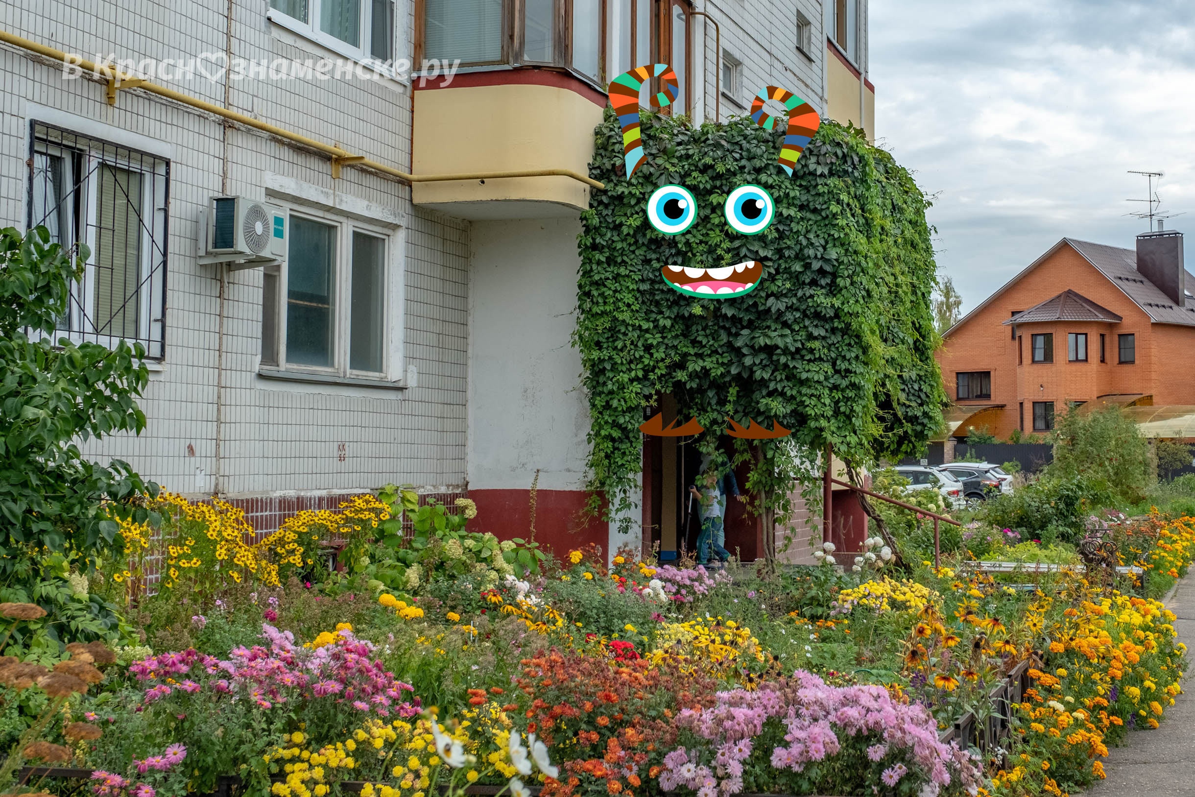 Волшебный Краснознаменск