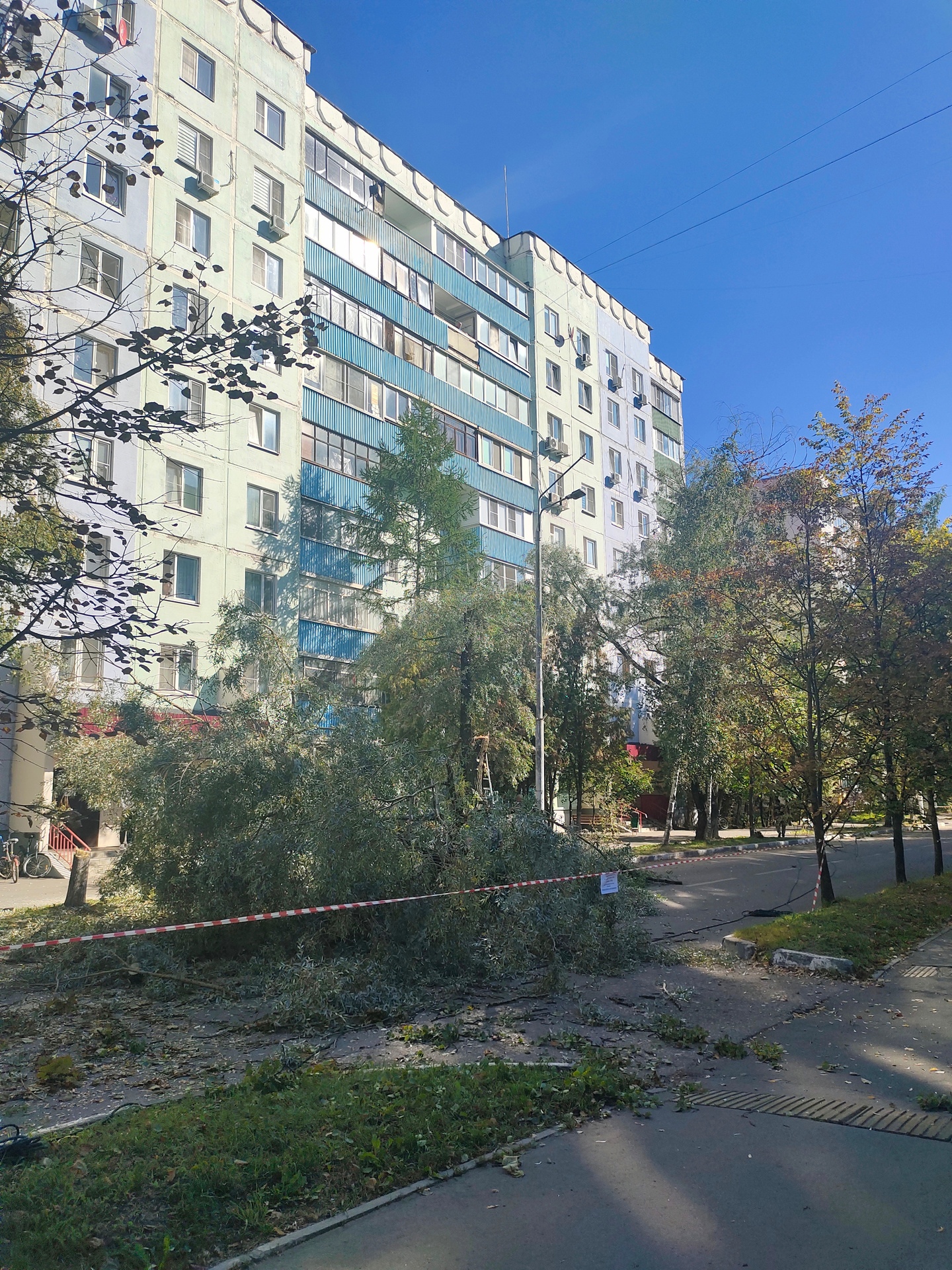 На улице Краснознамённая, д. 18, начались работы по спилу де