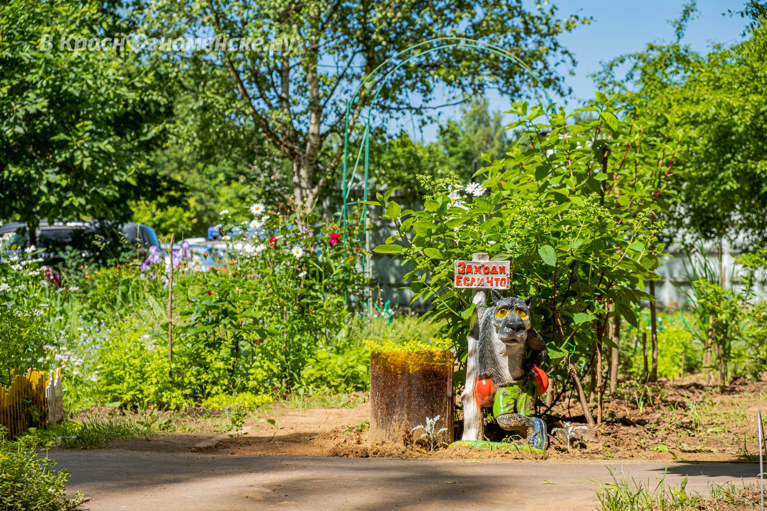 Прогулка по городу — Краснознаменск