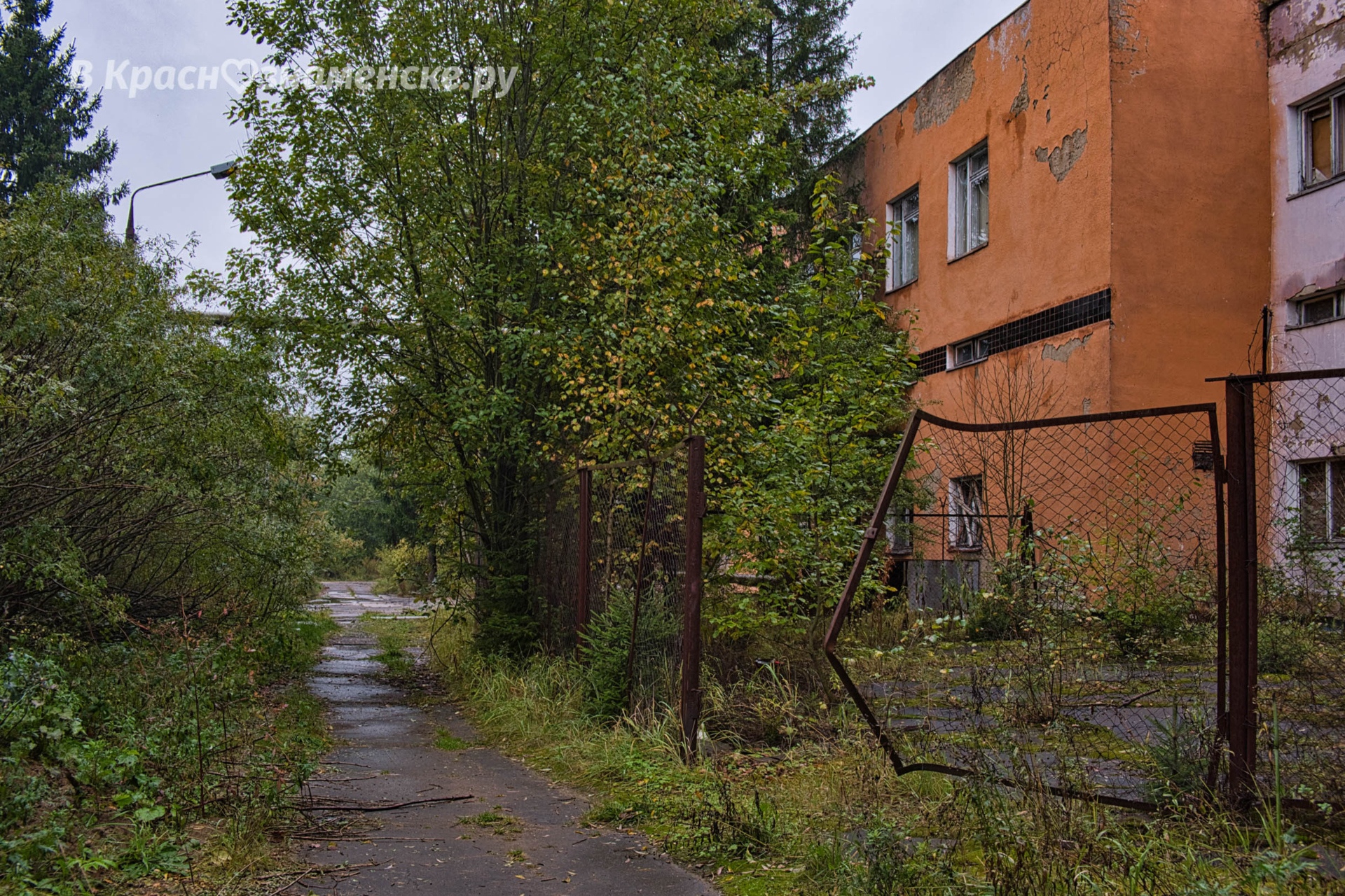 Старая прогулка у одной из самых необычных заброшек города. — Краснознаменск