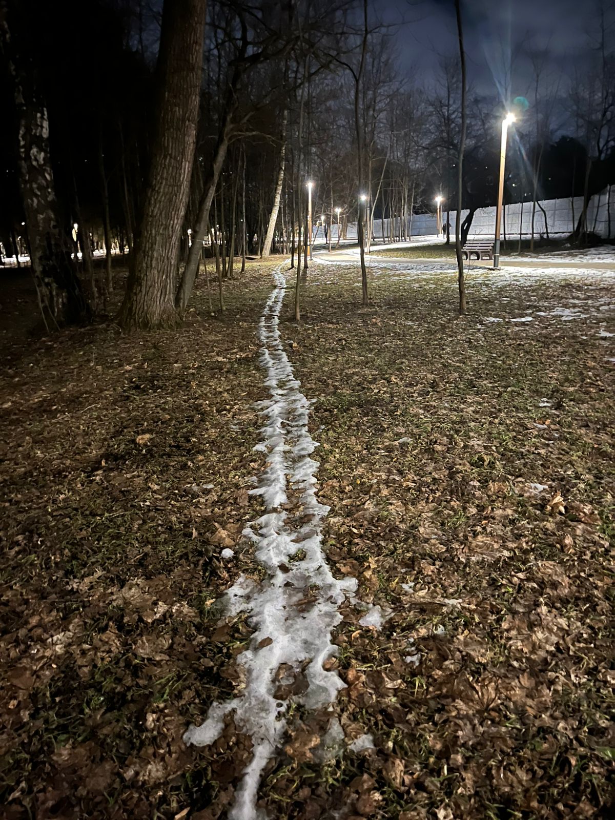 Лыжня в Беличьем парке ????