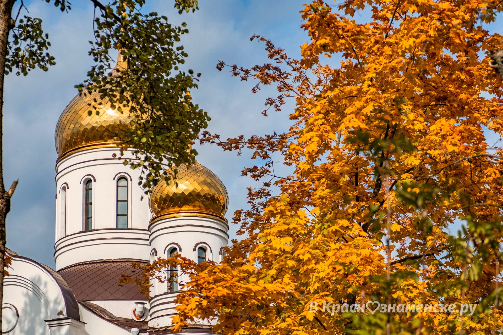 Прекрасные моменты осени — Краснознаменск