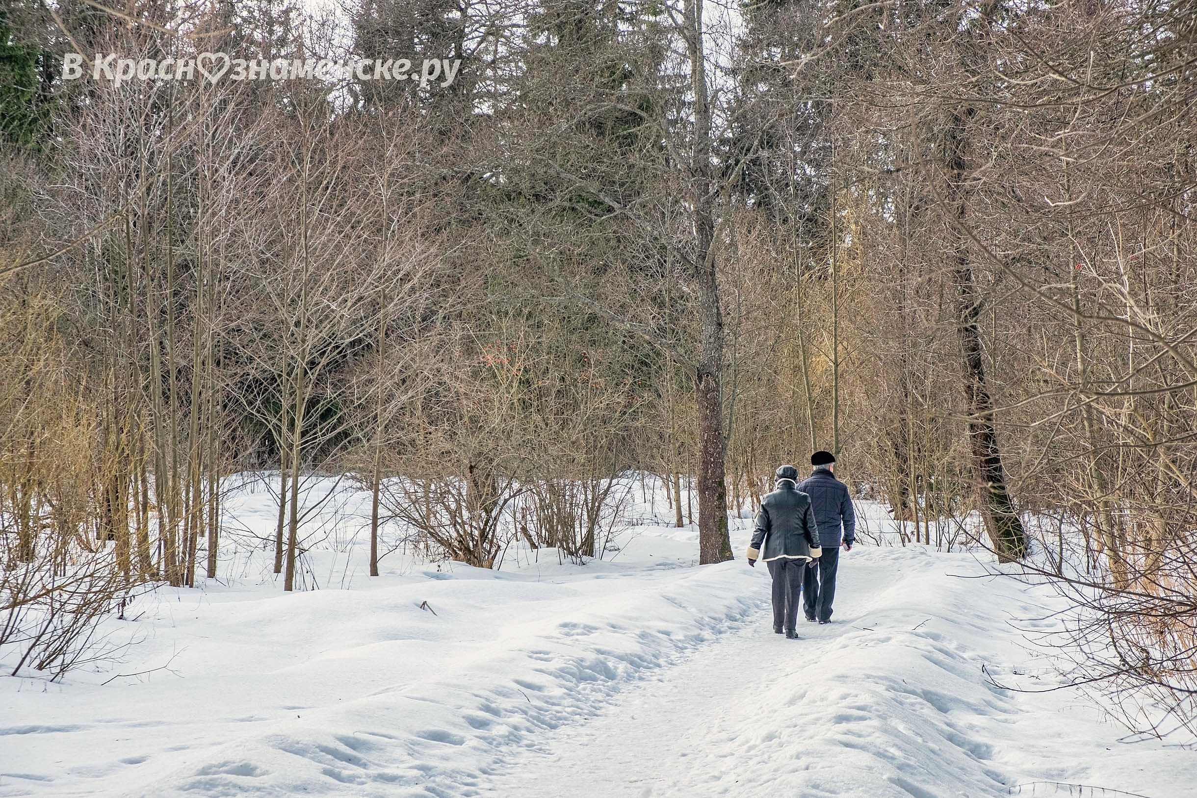 Прогулка по городскому парку — Краснознаменск