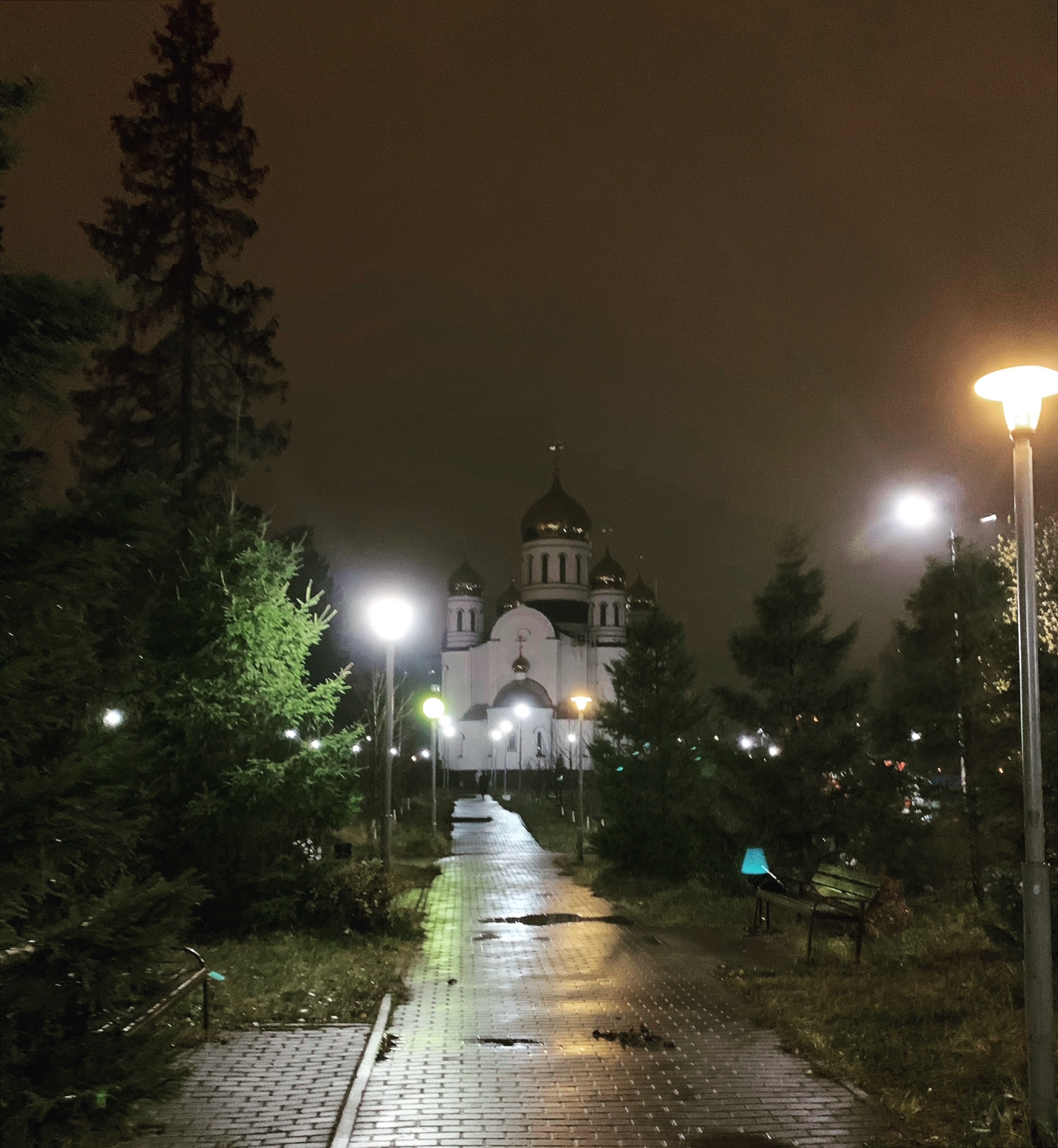 ???? Лиса Лихачева — Краснознаменск