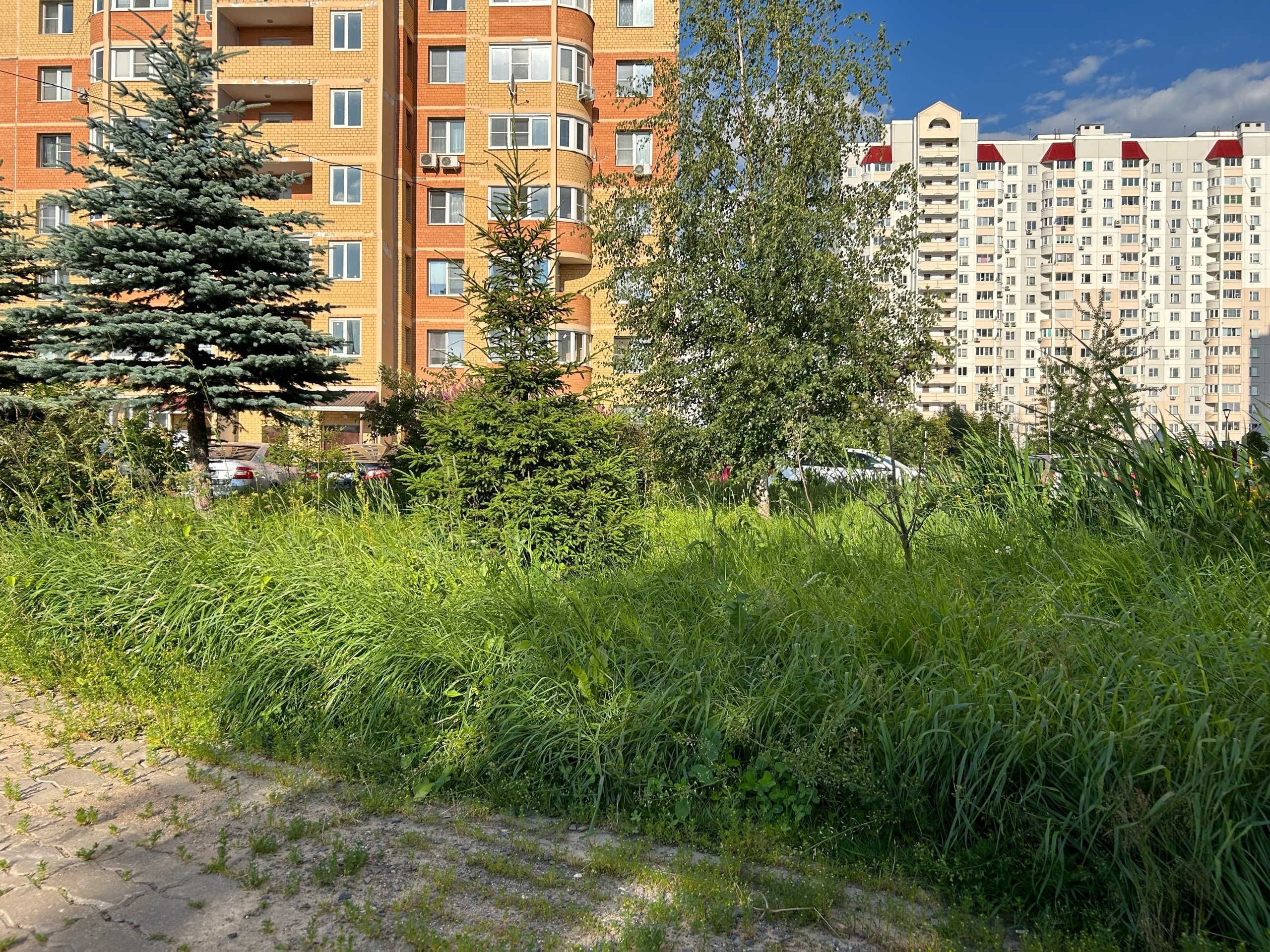 Фото 38979 — Краснознаменск