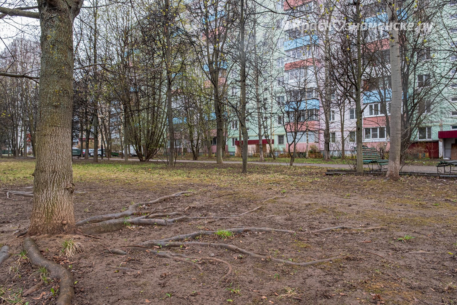 Прогулка по городу ???? — Краснознаменск