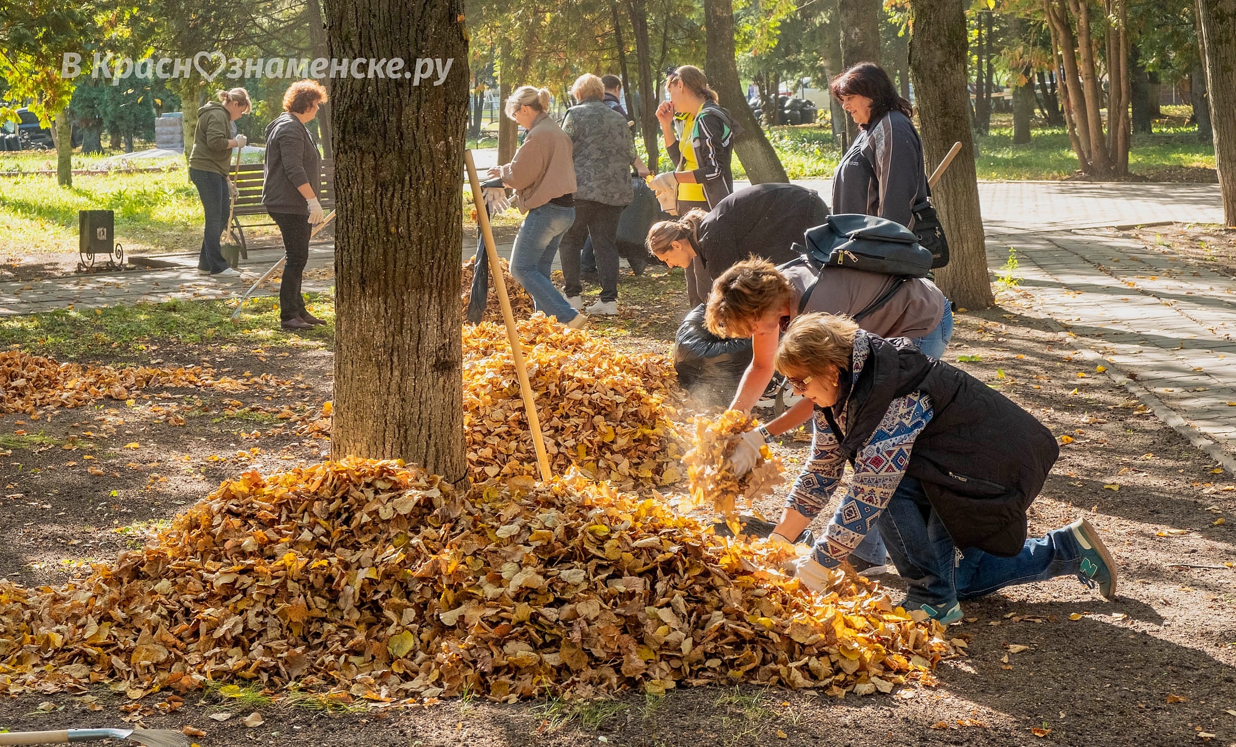 Фото 40425 — Краснознаменск