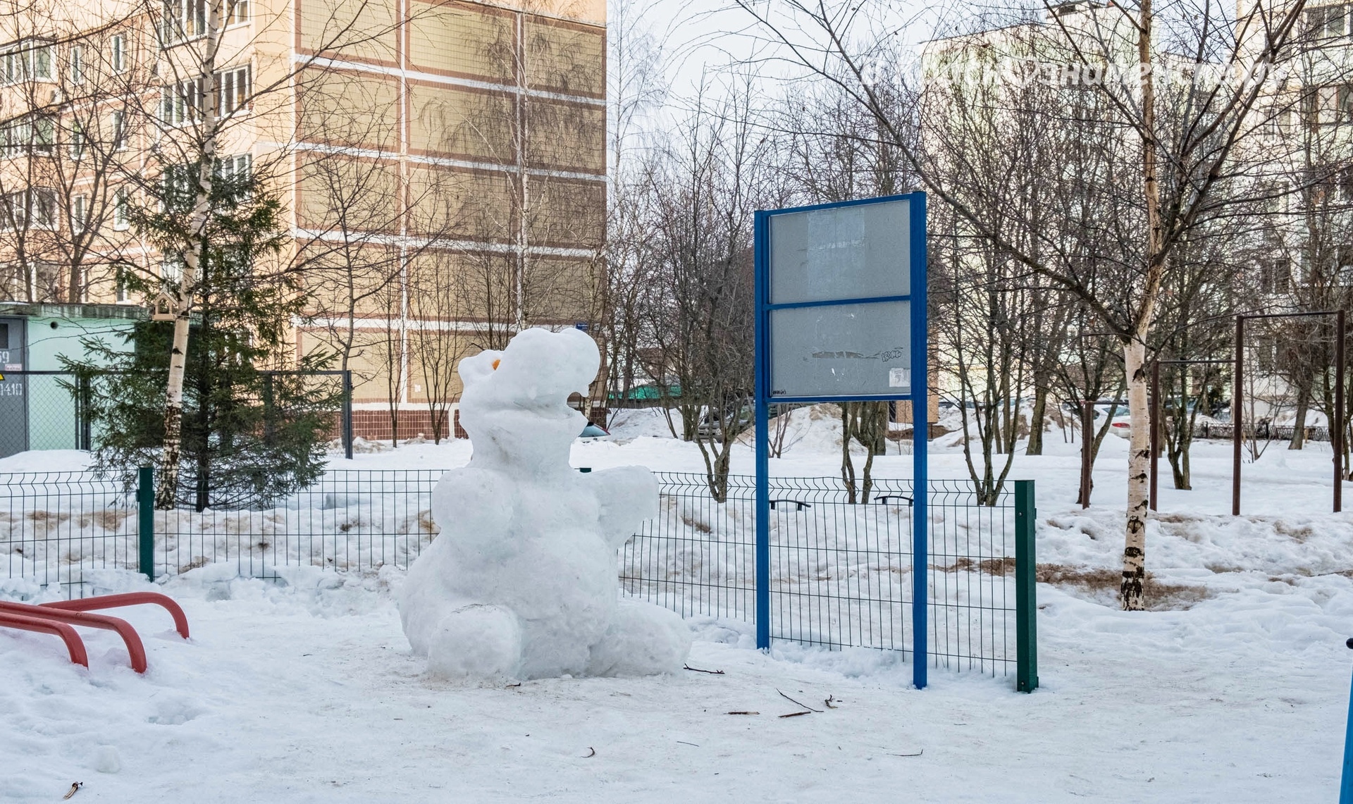 Вот такого славного бегемота можно встретить во дворе Победы