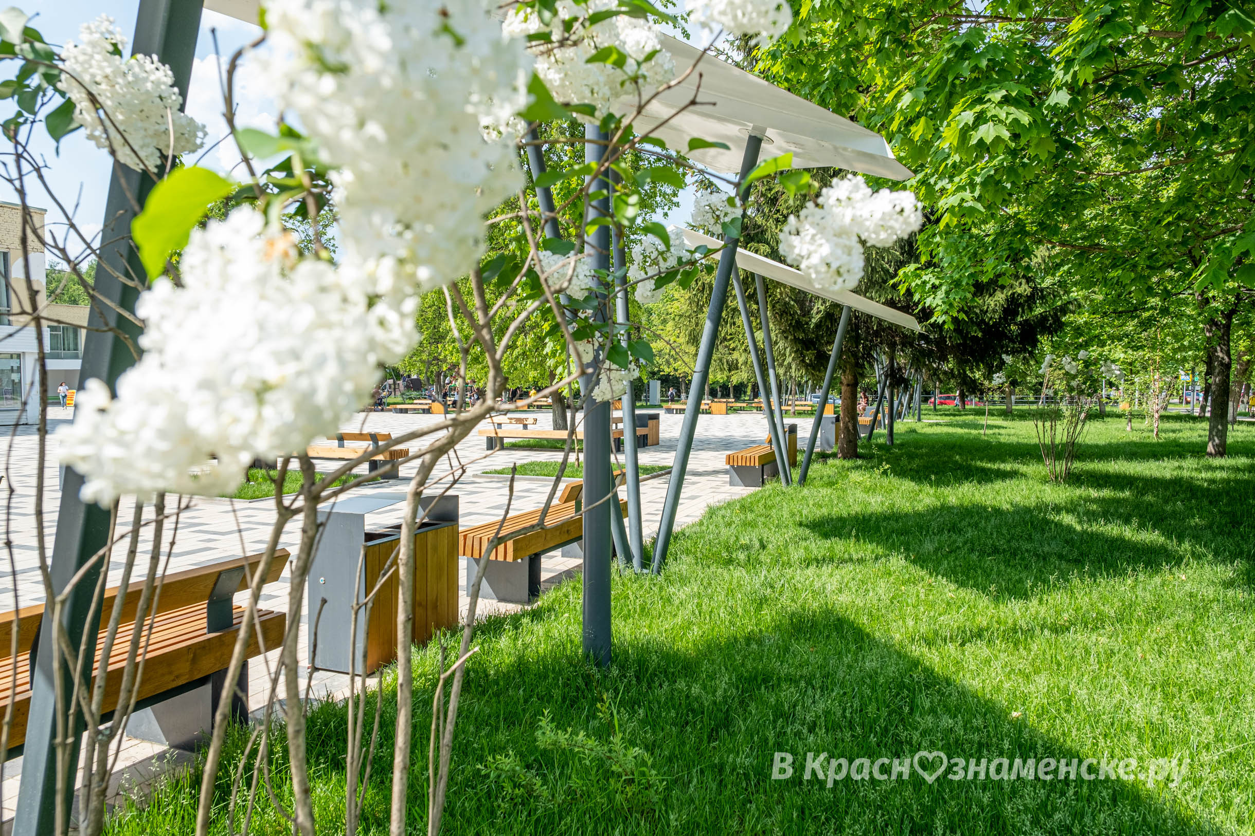 Доброе утро, Краснознаменск! Утром +21°...+29°, Малооблачно,