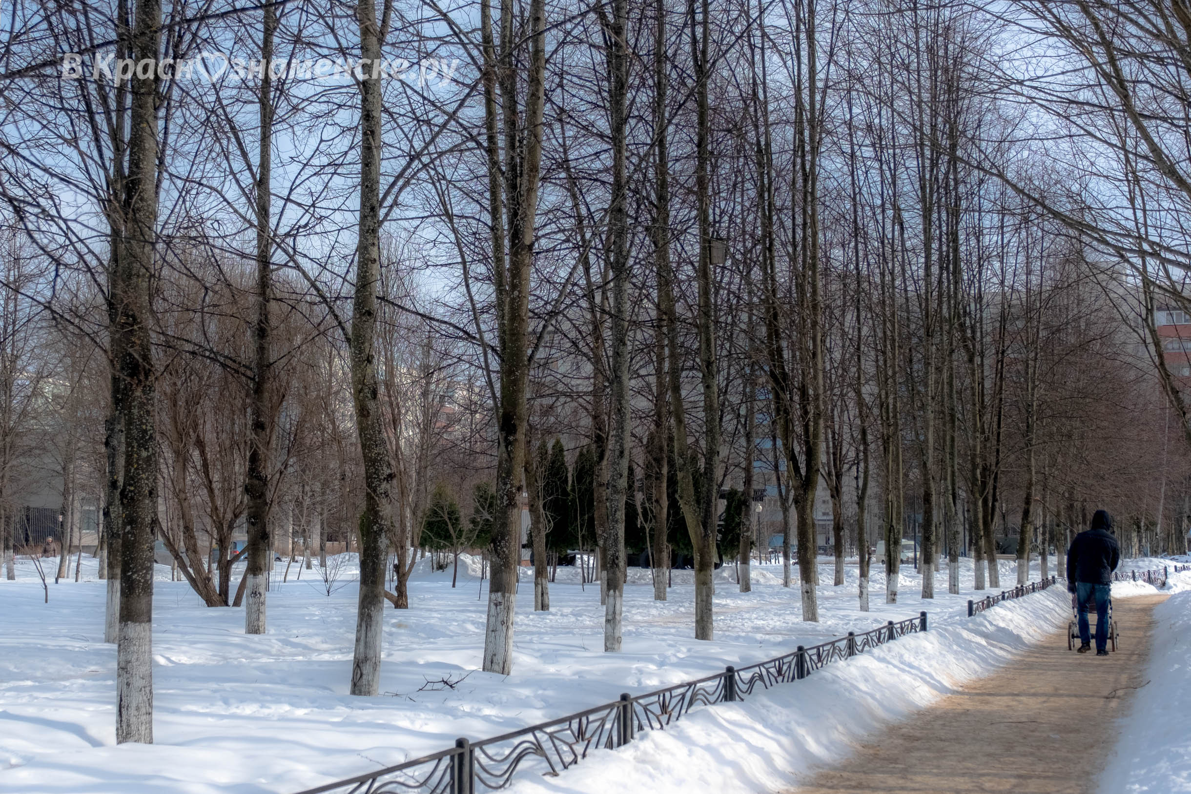 Доброе утро, Краснознаменск! Утром -6°… -5°, Небольшой дождь
