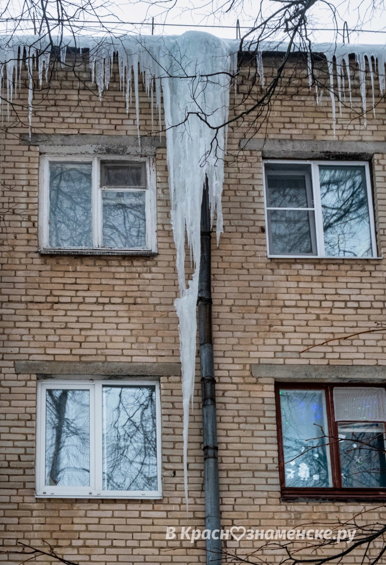 Фото 36375 — Краснознаменск