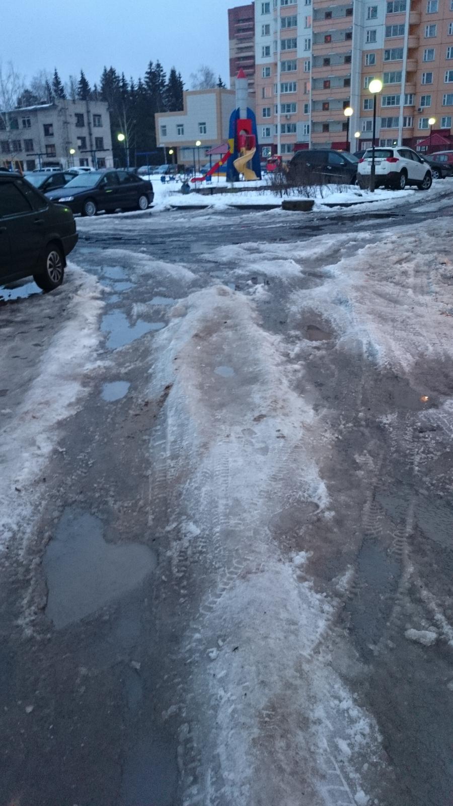 Автор фотографии Брусничка — Краснознаменск