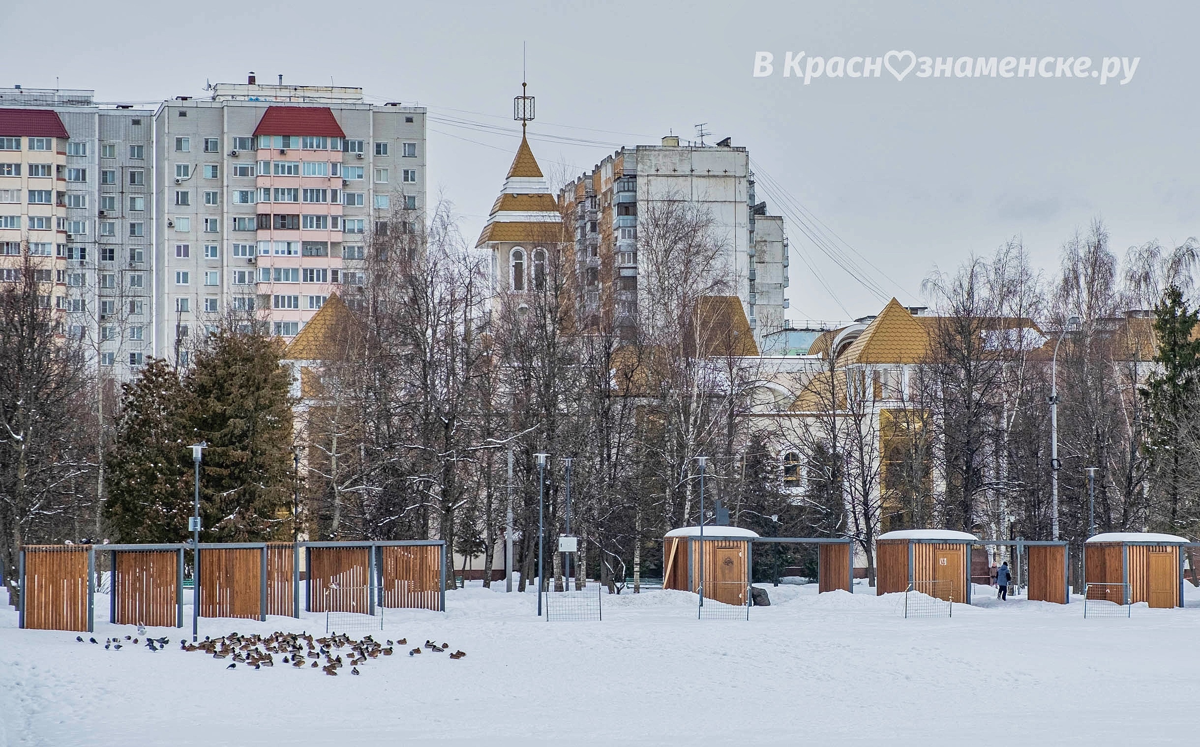 Фото 30376 — Краснознаменск