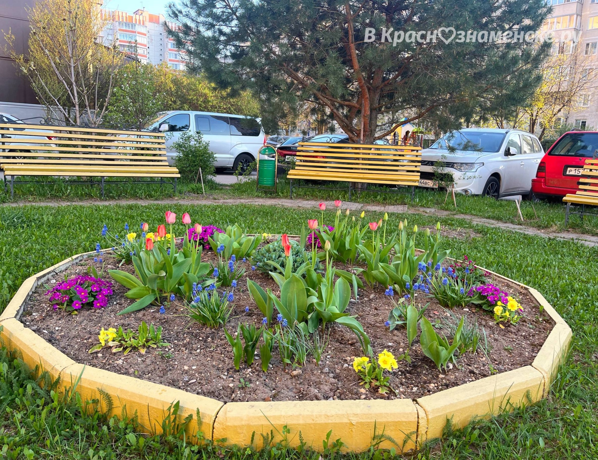 В городе уже появились первые цветочные клумбы, которые раду