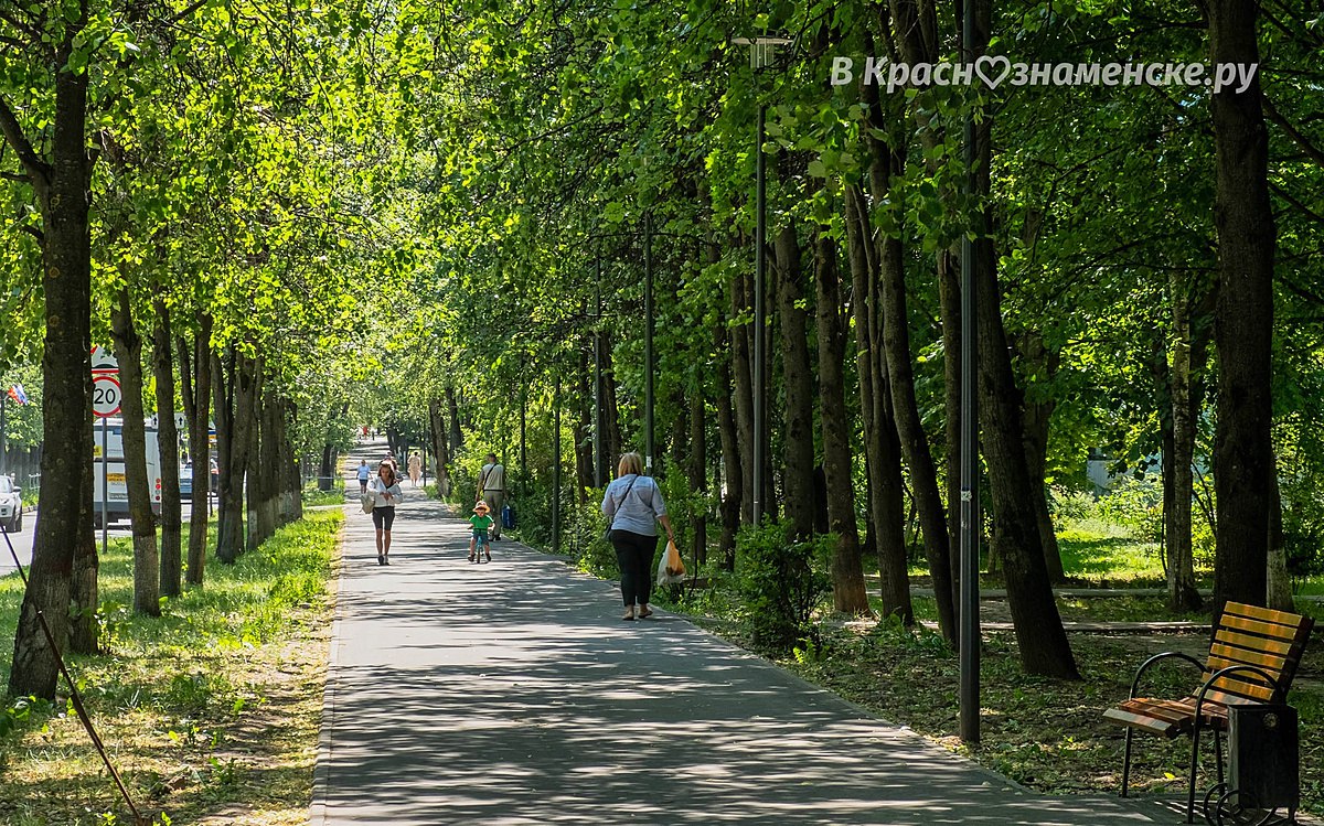 Лето в Краснознаменске