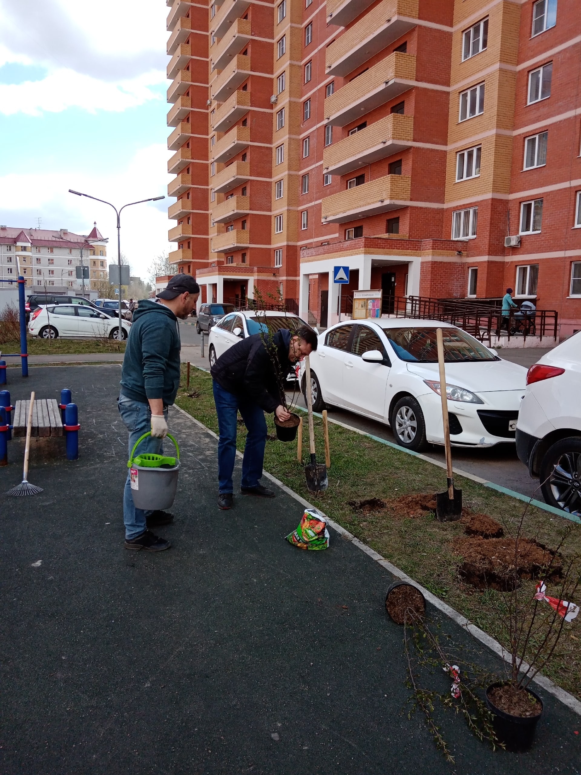 Сегодня были высажены 35 кустарников жителями дома, председа