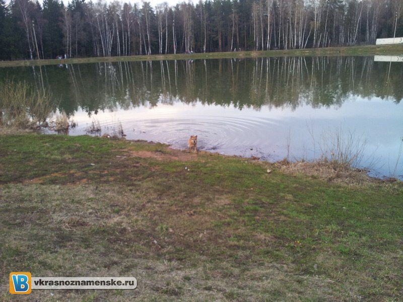 Быстрое меню — Краснознаменск