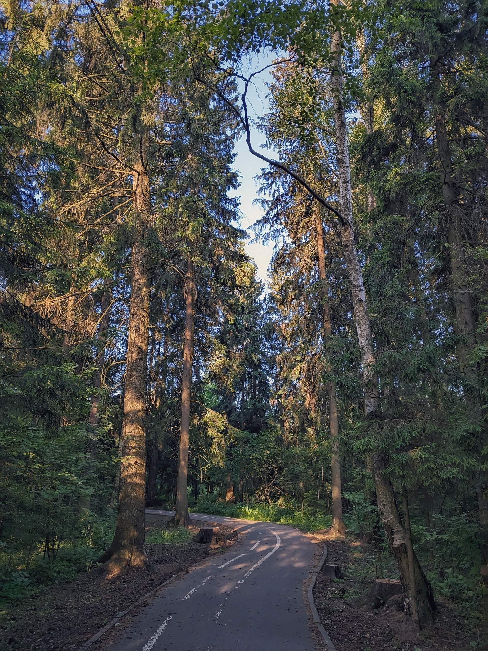 Доброе утро, Краснознаменск