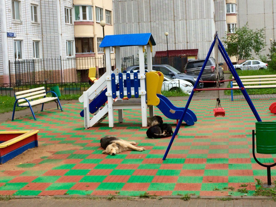 Это нормально?