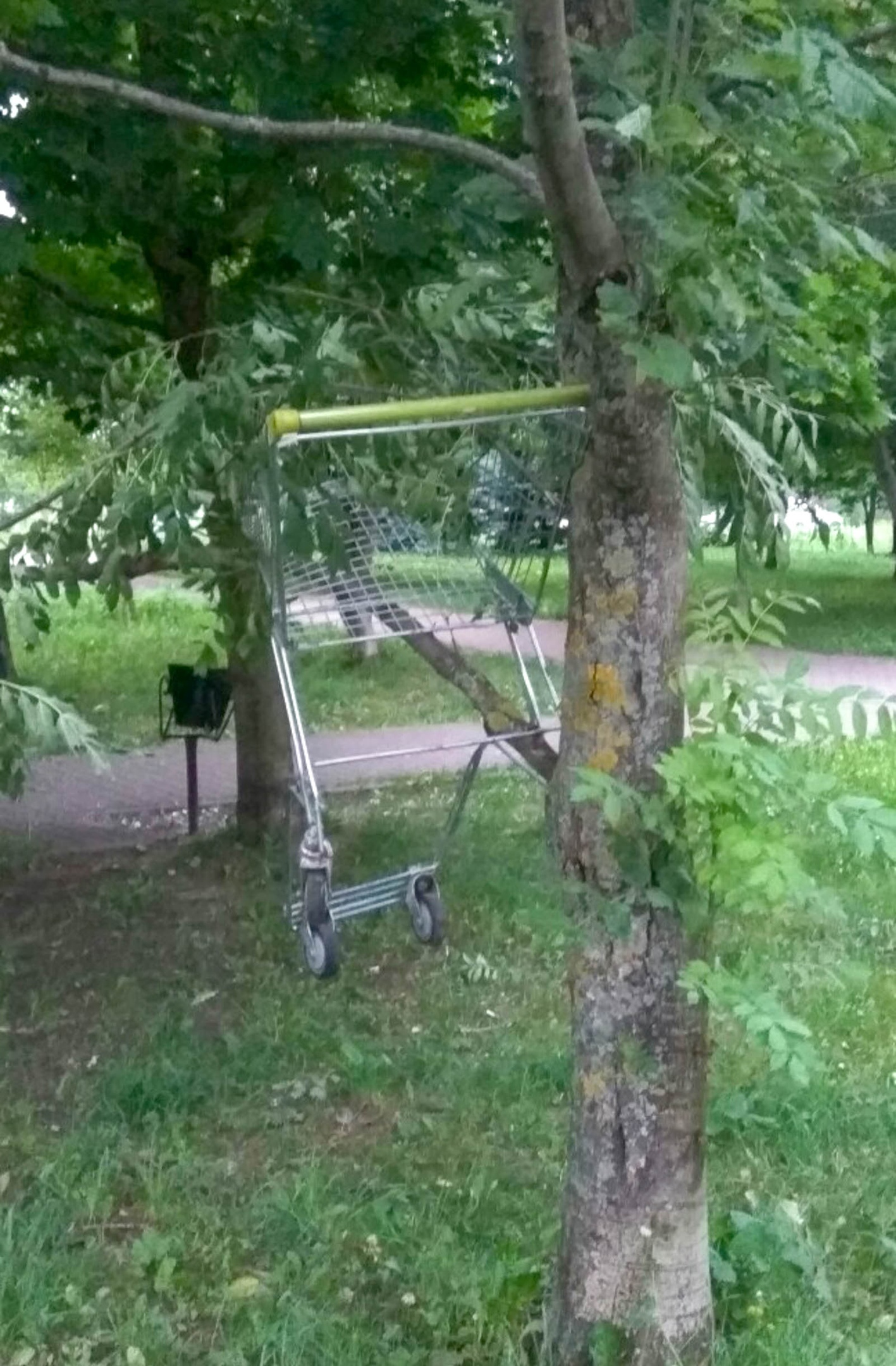 Что в городе происходит вообще?! Что с этими людьми не так? — Краснознаменск