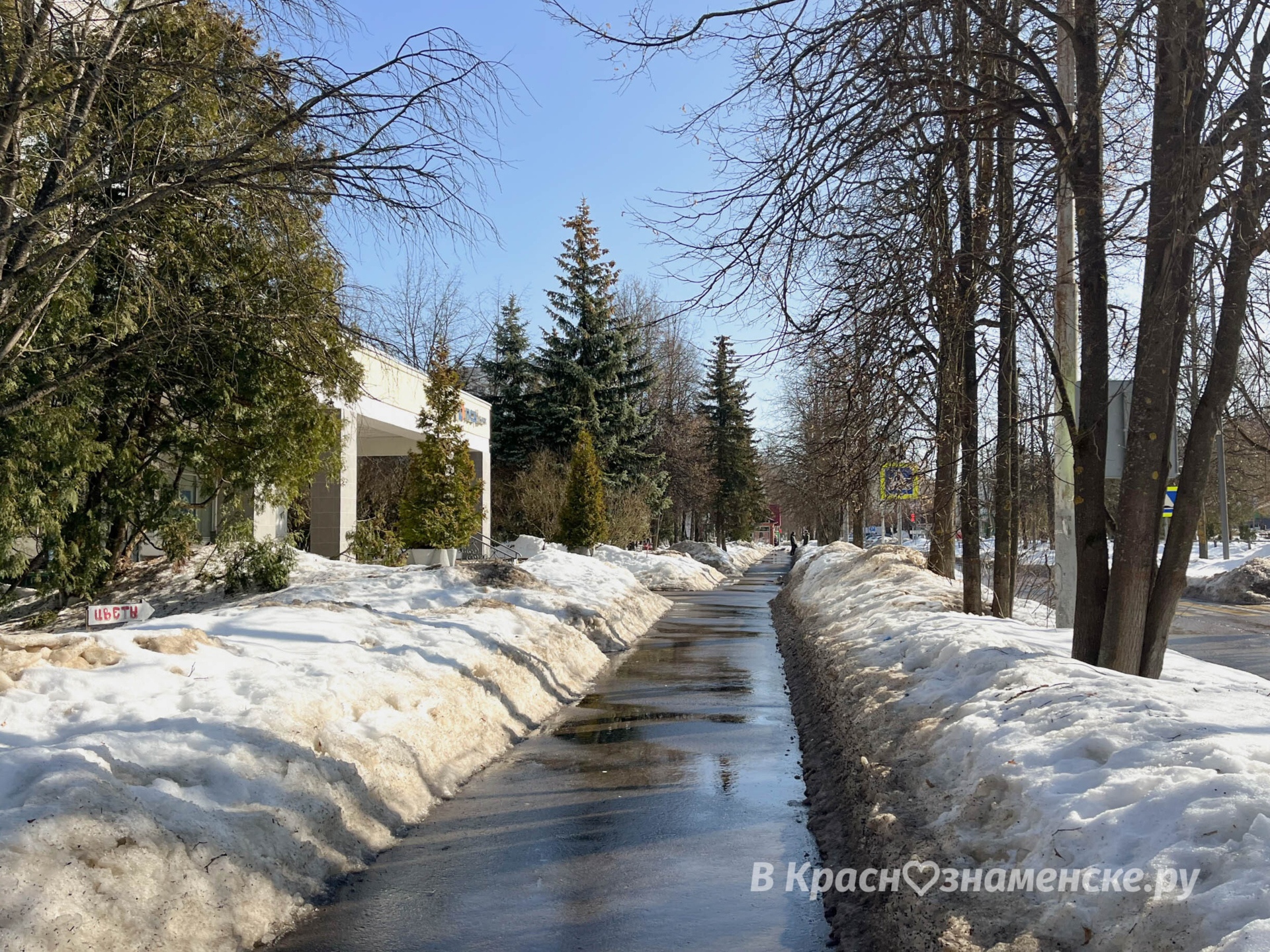 Весенняя прогулка по городу  *Краснознаменск в других соцсет
