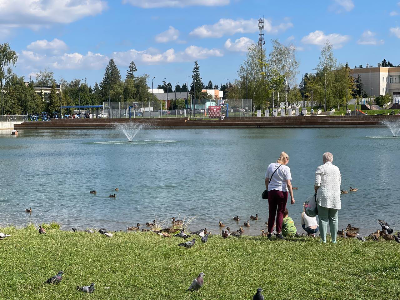 Прогулка по городу. — Краснознаменск