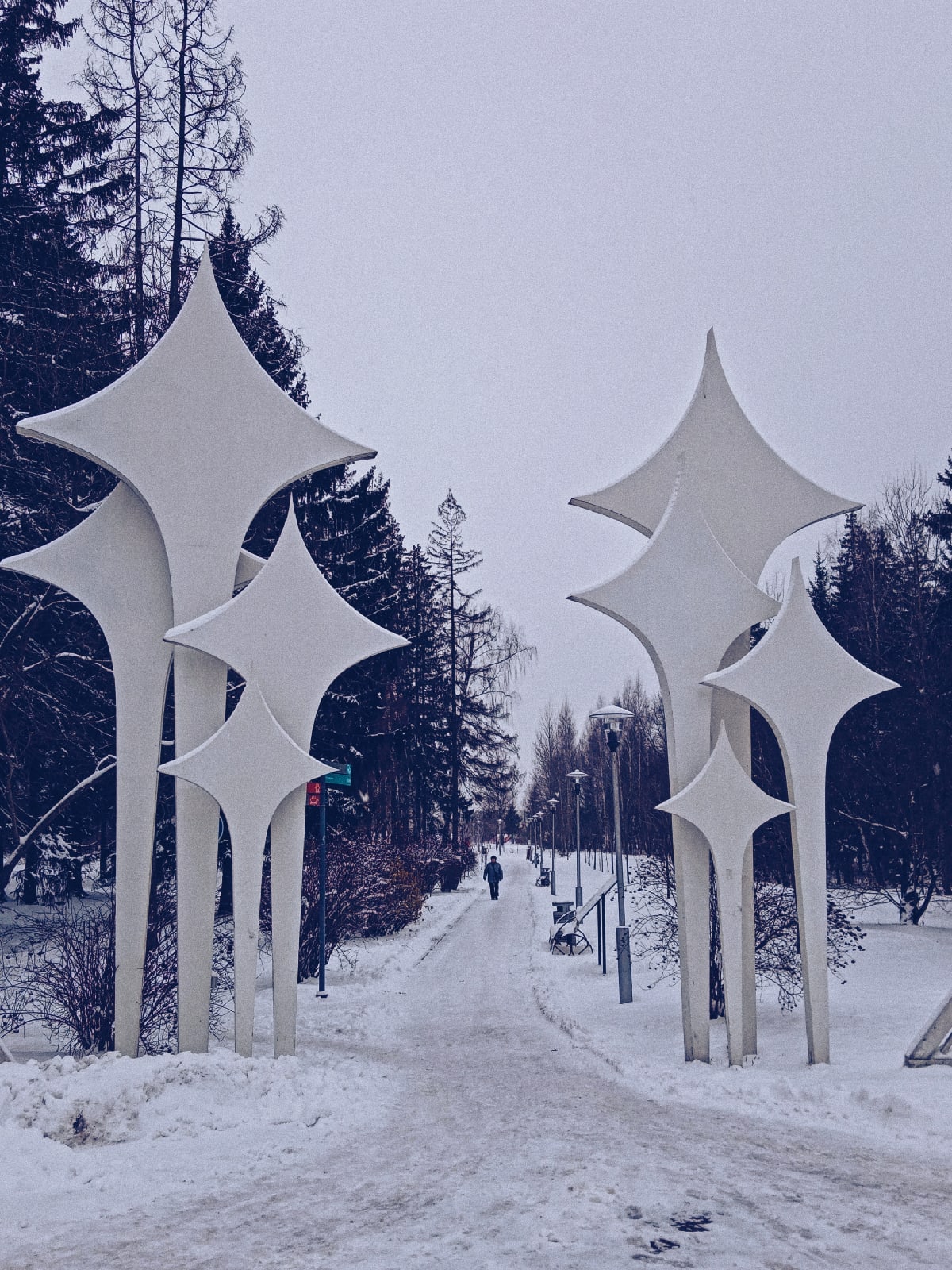 ???? Наталья Меняйлова — Краснознаменск