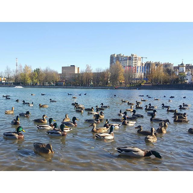 Автор фотографии allakhil