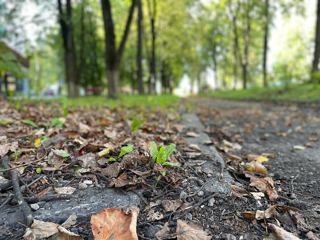 Прогулка по городу. — Краснознаменск