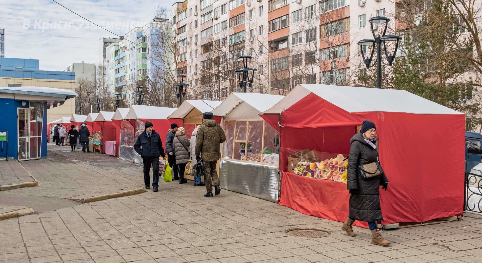У Центрального рынка заработал цветочный базар.  Тюльпаны та