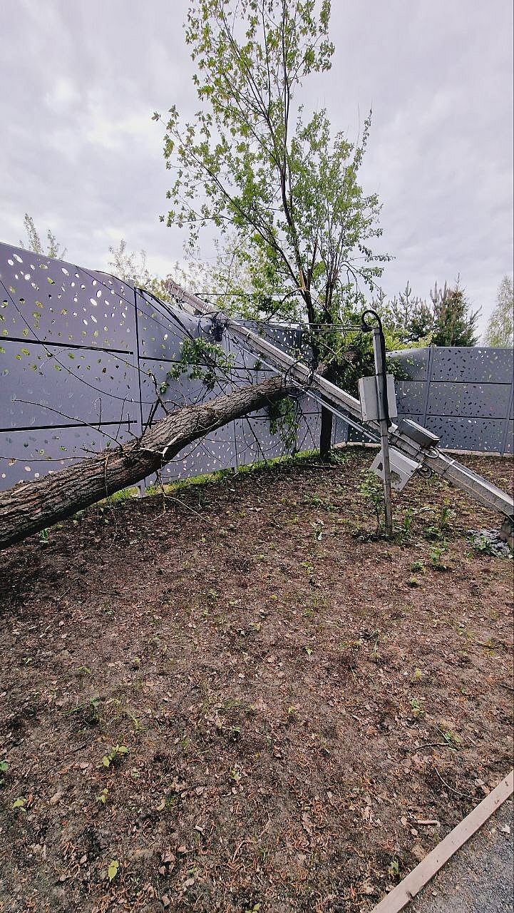 В парке КГБ Из КЗ чата: t.me/vkrasnoznamenske_ru/1