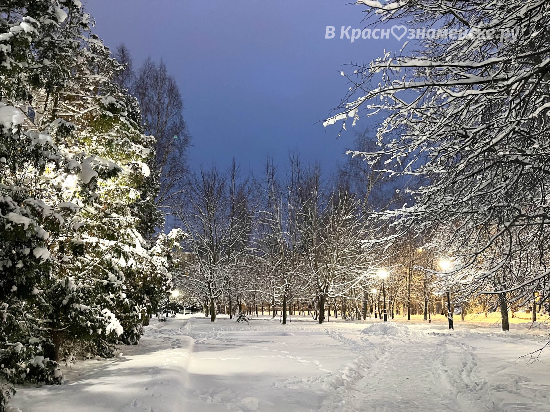 Вечерняя прогулка по городу ✨  © в Краснознаменске.ру Мы в t
