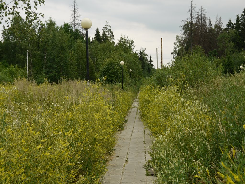 Автор фотографии Crags