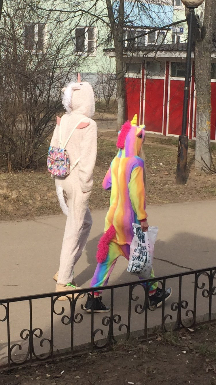 Единороги в городе