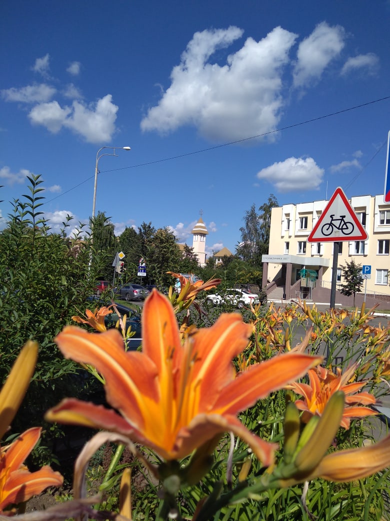 ???? Наталья Меняйлова